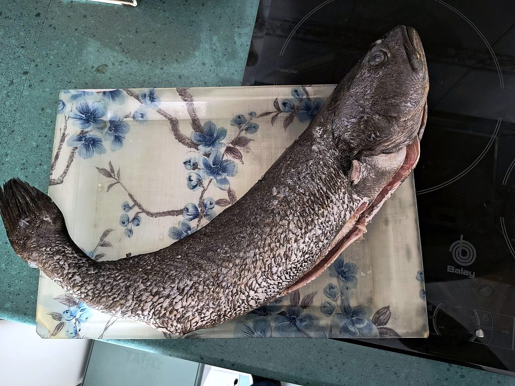 Corvina al horno