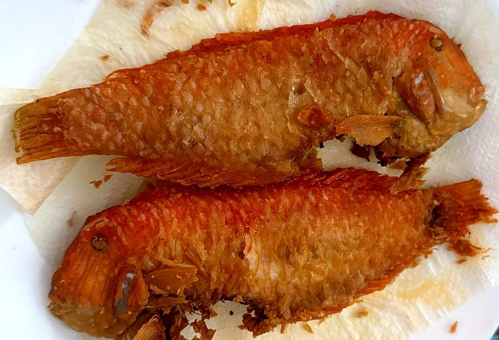 Galanes o loritos fritos (2)